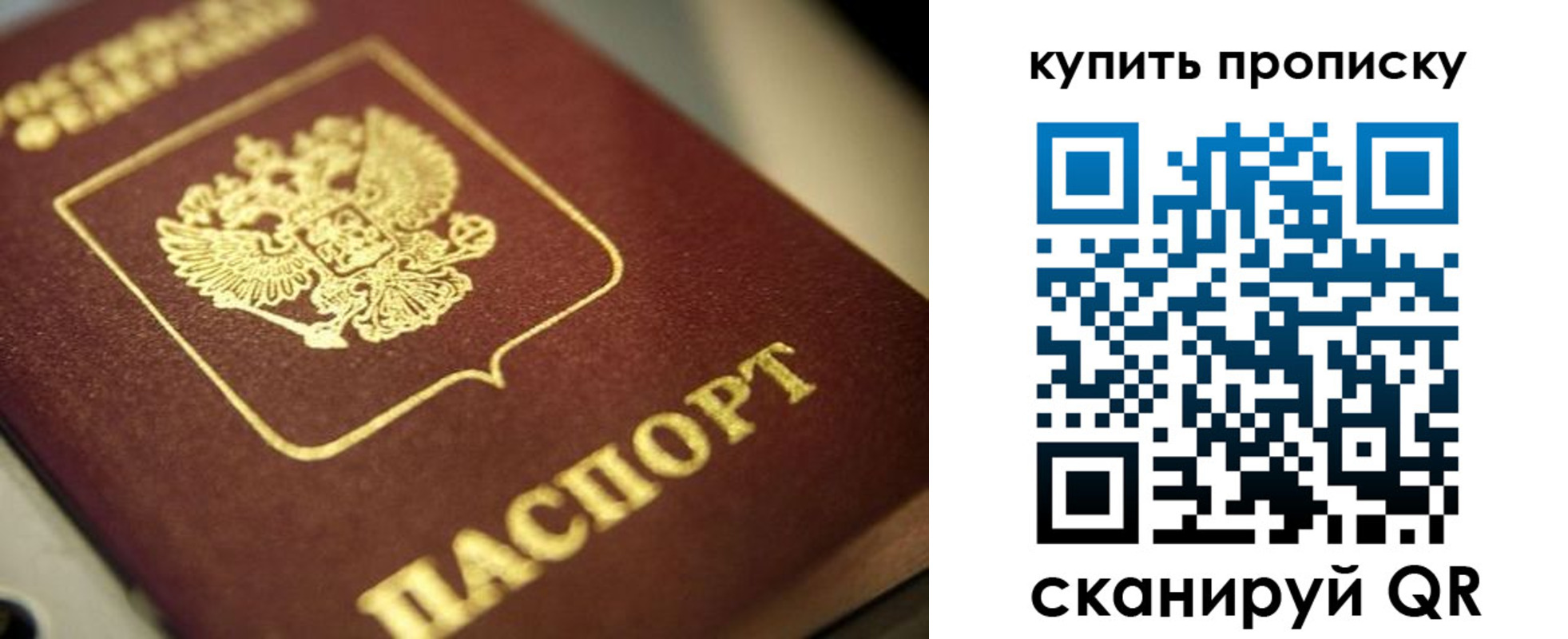 прописка поиск в Павловске